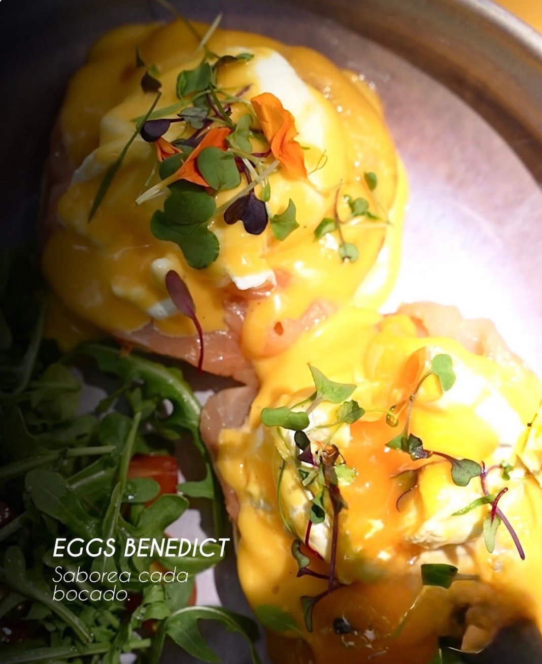 Eggs Benedict brunch en Índigo Café Barcelona